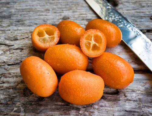 Discovering the History and Significance of Kumquat on Corfu Island